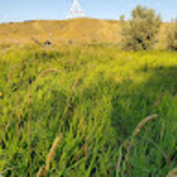 Meet your Posher, Ryan - Picture 1 of 1